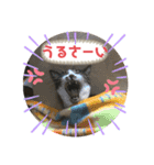 みゅうつーの普段遣いスタンプ第2弾！（個別スタンプ：4）