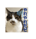 みゅうつーの普段遣いスタンプ第2弾！（個別スタンプ：5）