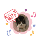 みゅうつーの普段遣いスタンプ第2弾！（個別スタンプ：7）