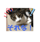 みゅうつーの普段遣いスタンプ第2弾！（個別スタンプ：11）