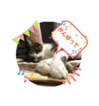 みゅうつーの普段遣いスタンプ第2弾！（個別スタンプ：12）