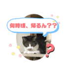 みゅうつーの普段遣いスタンプ第2弾！（個別スタンプ：15）