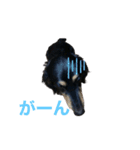 宇宙のそらのスタンプ（個別スタンプ：1）