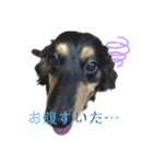 宇宙のそらのスタンプ（個別スタンプ：2）