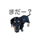 宇宙のそらのスタンプ（個別スタンプ：4）