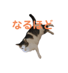 宇宙のそらのスタンプ（個別スタンプ：15）