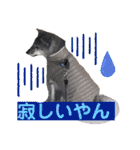 りょうつの使えるスタンプ2（個別スタンプ：2）