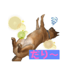りょうつの使えるスタンプ2（個別スタンプ：5）
