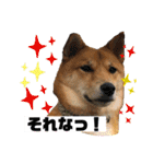 りょうつの使えるスタンプ2（個別スタンプ：7）