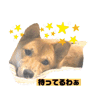 りょうつの使えるスタンプ2（個別スタンプ：9）