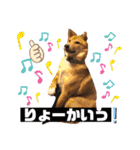 りょうつの使えるスタンプ2（個別スタンプ：11）