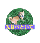 りょうつの使えるスタンプ2（個別スタンプ：17）