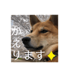 りょうつの使えるスタンプ2（個別スタンプ：32）