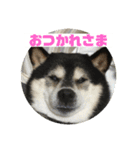 桃香スタンプその1（個別スタンプ：2）