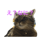 でぶれお（個別スタンプ：3）