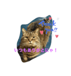 でぶれお（個別スタンプ：4）