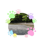ねこのが世界の気持ち（個別スタンプ：16）