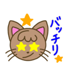 猫ちゃんのカラフルスタンプ（個別スタンプ：10）