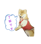 柴犬 ロック2（個別スタンプ：7）
