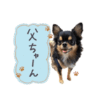 MOCO＆RIKU＆LAMU_alustamp（個別スタンプ：7）
