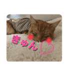 むぎむーの日常③（個別スタンプ：1）