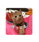 むぎむーの日常③（個別スタンプ：5）