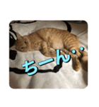 むぎむーの日常③（個別スタンプ：8）