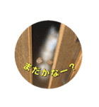 むぎむーの日常③（個別スタンプ：9）