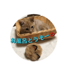 むぎむーの日常③（個別スタンプ：12）