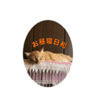 むぎむーの日常③（個別スタンプ：14）