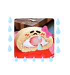 いちごろーるとココアろーる♪（個別スタンプ：2）