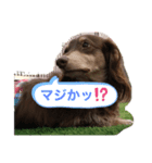 ウィルくんpart2（個別スタンプ：5）