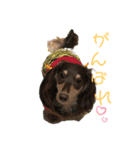 ウィルくんpart2（個別スタンプ：8）