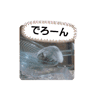ハムスタンプVer．2（個別スタンプ：6）