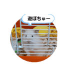 ハムスタンプVer．2（個別スタンプ：14）