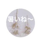 OKINAWAの景色やお花に癒されて（個別スタンプ：2）