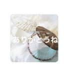 OKINAWAの景色やお花に癒されて（個別スタンプ：3）