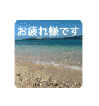 OKINAWAの景色やお花に癒されて（個別スタンプ：4）