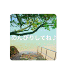 OKINAWAの景色やお花に癒されて（個別スタンプ：5）