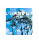 OKINAWAの景色やお花に癒されて（個別スタンプ：6）