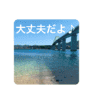 OKINAWAの景色やお花に癒されて（個別スタンプ：7）