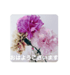OKINAWAの景色やお花に癒されて（個別スタンプ：8）