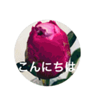 OKINAWAの景色やお花に癒されて（個別スタンプ：9）