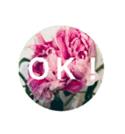 OKINAWAの景色やお花に癒されて（個別スタンプ：10）