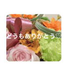 OKINAWAの景色やお花に癒されて（個別スタンプ：13）