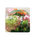 OKINAWAの景色やお花に癒されて（個別スタンプ：14）