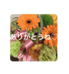 OKINAWAの景色やお花に癒されて（個別スタンプ：16）