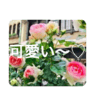 OKINAWAの景色やお花に癒されて（個別スタンプ：20）