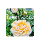 OKINAWAの景色やお花に癒されて（個別スタンプ：21）