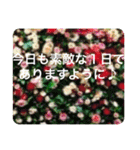 OKINAWAの景色やお花に癒されて（個別スタンプ：22）